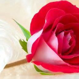 Profile Picture of Rachna Upadhyay (@rachna.upadhyay.3158) on Facebook