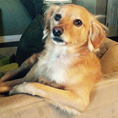 Profile Picture of Ben Fetzer (@benfetzer79) on Twitter