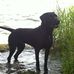 Profile Picture of Steven Ibbotson (@steven.ibbotson.1) on Facebook