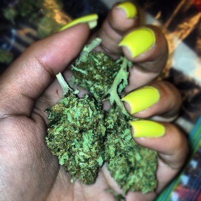 Profile Picture of JU (@theRealMikeReks) on Twitter