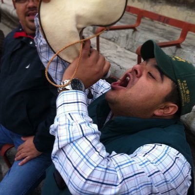 Profile Picture of Alejandro Fierros (@Alejand55254663) on Twitter