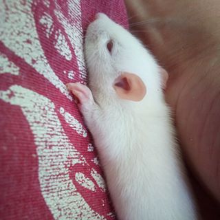 Profile Picture of Lucky Adams (@lucky.adams.796569) on Facebook