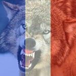 Profile Picture of Steve Danielson (@ldan023) on Instagram
