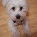 Profile Picture of Alexander Bálint (@alexander.balint.718689) on Facebook