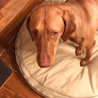 Profile Picture of Owen Holt-frank (@owen-holt-frank) on Quora