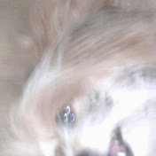 Profile Picture of Allen Hicks (@allenhicks8385) on Youtube