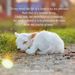 Profile Picture of matthew waite (@waitesmw) on Pinterest
