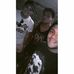 Profile Picture of Aaron Sala (@aaron.sala.125) on Facebook
