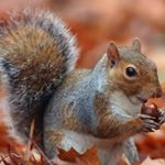 Profile Picture of Guy Capel (@guycapel) on Instagram