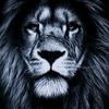 Profile Picture of Brian Sylvester (@@868_tallow) on Tiktok
