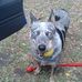Profile Picture of Peter Bolin (@peter.bolin.100) on Facebook