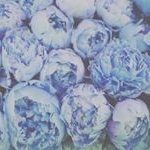 Profile Picture of Jasmine Franklin (@jasmine.lea.franklin) on Instagram