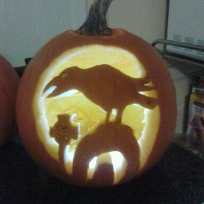 Profile Picture of Jerry Haase (@@jerryhaase76) on Twitter