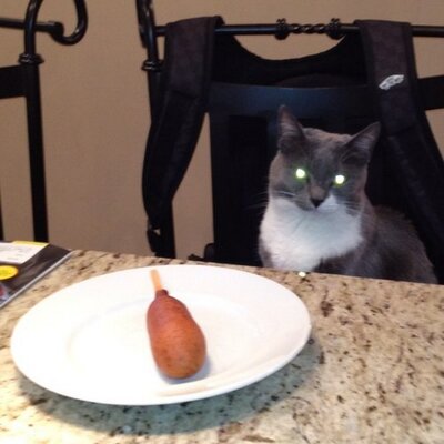 Profile Picture of Bob Piper (@themiddlepiper) on Twitter