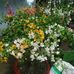 Profile Picture of Phạm Châu Tri (@chautri.pham.50) on Facebook