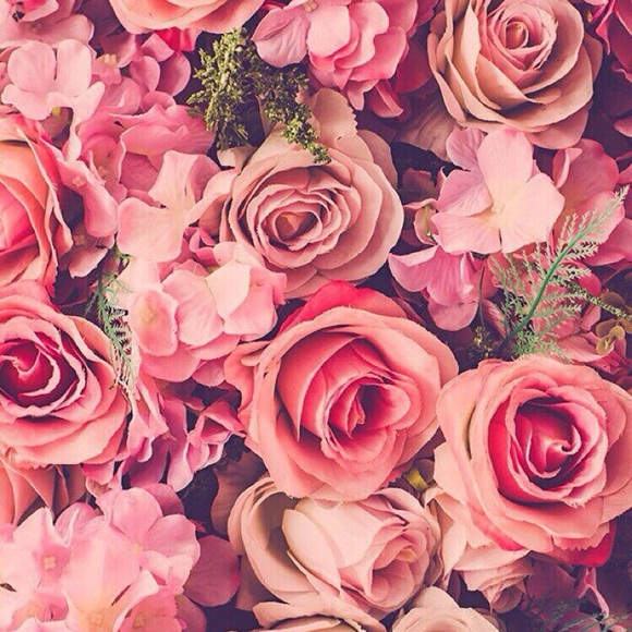 Profile Picture of Alexa Mancillas (@a__cillas) on Poshmark