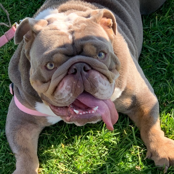 Nathan Araujo - Poshmark Profile Picture of Nathan Araujo (@yumarv) on Poshmark