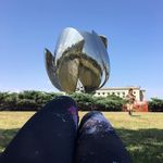 Profile Picture of Erika Testa (@erikatesta) on Instagram