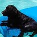 Profile Picture of Drew Vickers (@drewvickers7) on Pinterest