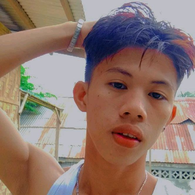 Profile Picture of jamescarlsevilla@gmail.com (@jamescarlsevilla2) on Tiktok