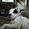 Profile Picture of Mike Goodwin (@@mikegoodwin79) on Tiktok