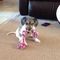 Profile Picture of Janet Ashcraft (@janet.ashcraft.520) on Facebook