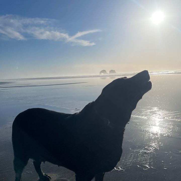 Profile Picture of Andrew (@andrew.sanderson_) on Tiktok