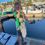 Profile Picture of Garrett Knorr (@chinookingspringsalmon) on Instagram