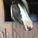 Profile Picture of Mary Jo O’Neill (@maryjooneill) on Instagram