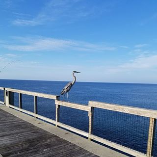 Profile Picture of Laurel Dunlap (@laurel.dunlap.7) on Facebook