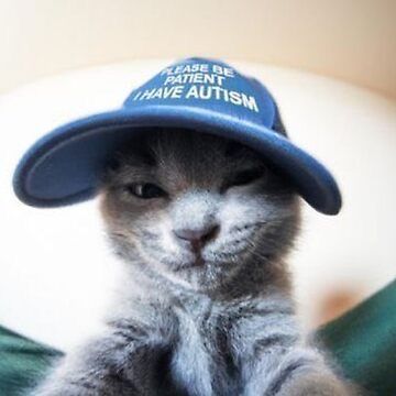 Profile Picture of drewski (@andrewlikessharks) on Tiktok