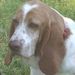 Profile Picture of Beverly Tidwell (@beverlytidwell) on Pinterest
