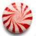 Profile Picture of Thomas Stefanik (@stefanikthom) on Pinterest