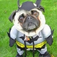 Profile Picture of Dee Bender (@dee-bender-1) on Quora