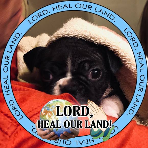 Profile Picture of Darlene Haycraft (@darlene103113) on Poshmark