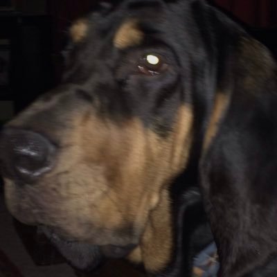 Profile Picture of Kim Raney (@karxx50) on Twitter