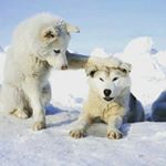 Profile Picture of David Fontenot (@fontenot.david) on Instagram