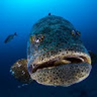 Profile Picture of Luke Shiver (@luke-shiver-2) on Quora