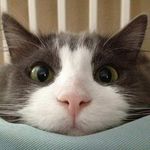 Profile Picture of Candy Mckinney (@candyandlarry) on Instagram