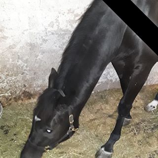 Profile Picture of Walter Ross (@walter.ross.566148) on Facebook