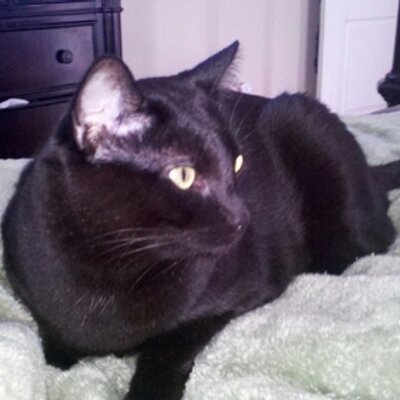 Profile Picture of David Leland (@DavidLeland4) on Twitter