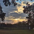 Profile Picture of Julian Ardito (@julian.ardito.5) on Facebook