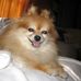 Profile Picture of Loretta Ralph (@loretta.ralph.7) on Facebook