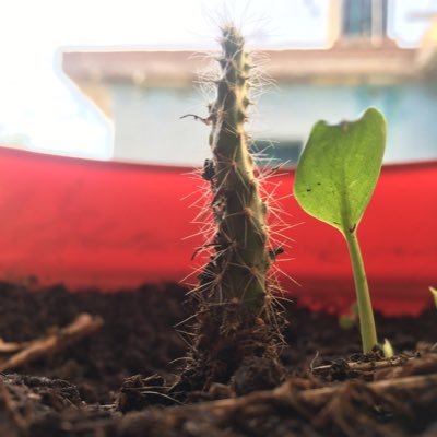 Profile Picture of Pablo Jacquez Jr (@PabloJacquezJr1) on Twitter