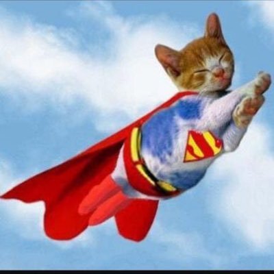 Joe - Twitter Profile Picture of Joe (@AzulTheWarrior) on Twitter