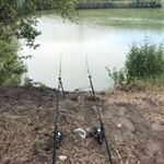 Profile Picture of Daniel Mazzei Mandruzzato (@danielmandruzzato) on Instagram