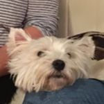 Profile Picture of Leo Hunt (@leohunt_06) on Instagram