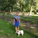 Timmermans Rita - Instagram Profile Picture of Timmermans Rita (@timmermansrita) on Instagram