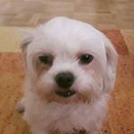 Profile Picture of Michael Seßler (@sesslermichael) on Instagram