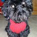 Profile Picture of Sharon Sheats (Sharon Keys Sheats) (@sharon.sheats.9) on Facebook